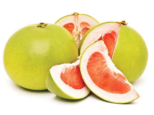 Grapefruit Pomelo